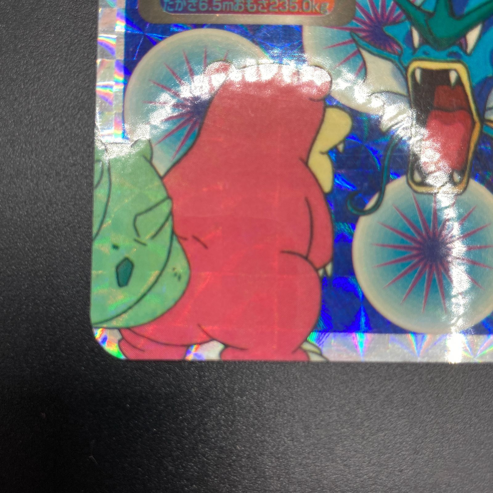 ギャラドス ヤドラン 130 トップサン Gyarados VS Slowbro Topsun