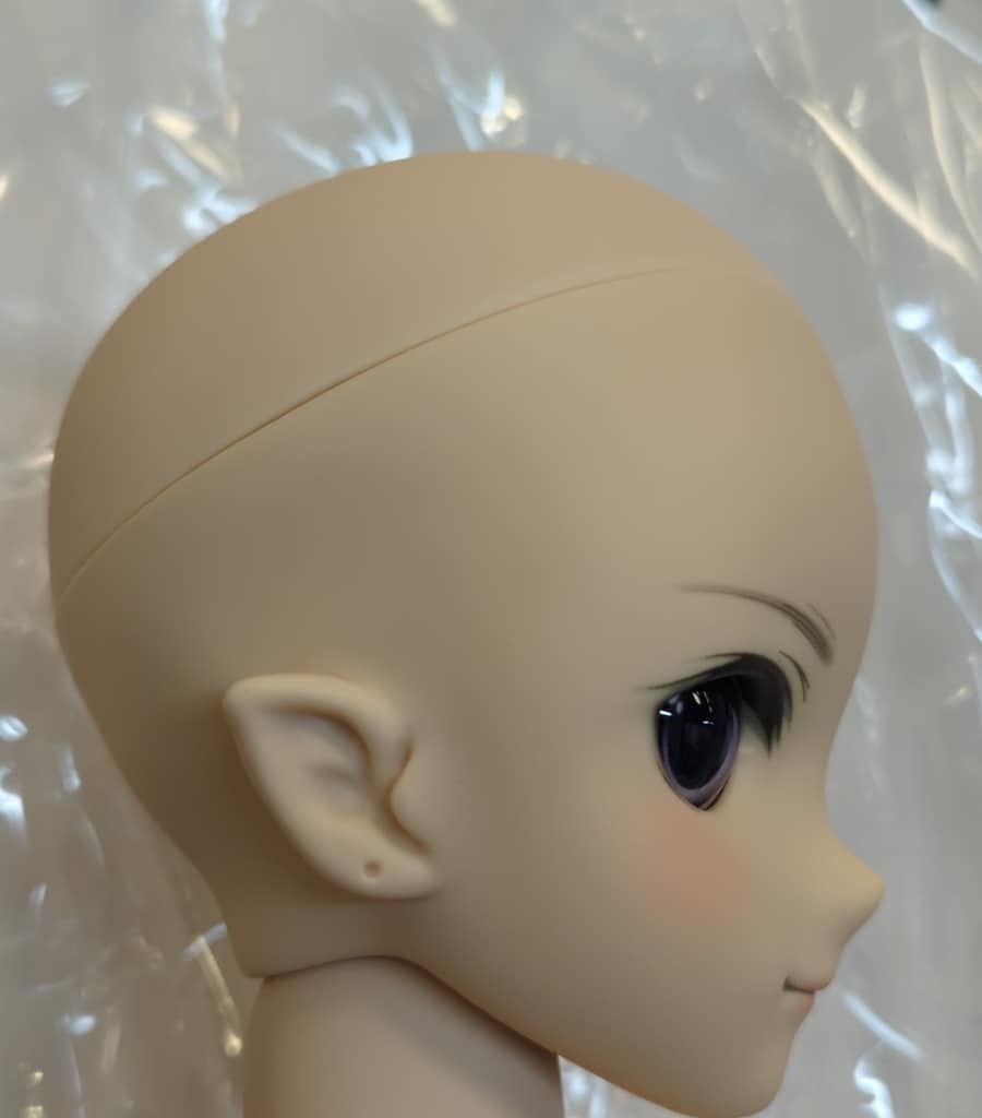 ボークス DDS