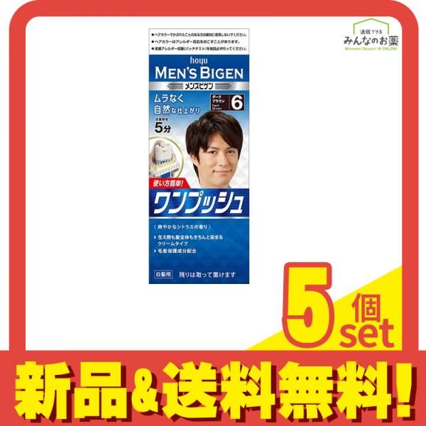 メンズビゲン ワンプッシュ  6 ダークブラウン 1個 5個セット まとめ売り