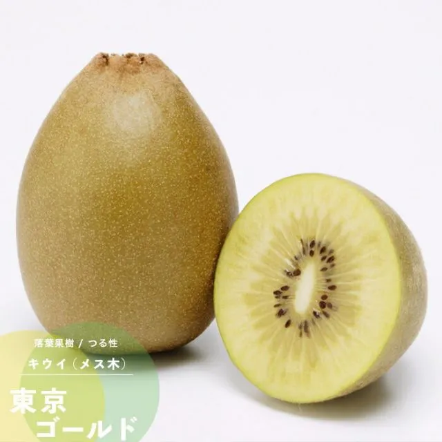2026年最新】キウイフルーツの花粉の人気アイテム - メルカリ