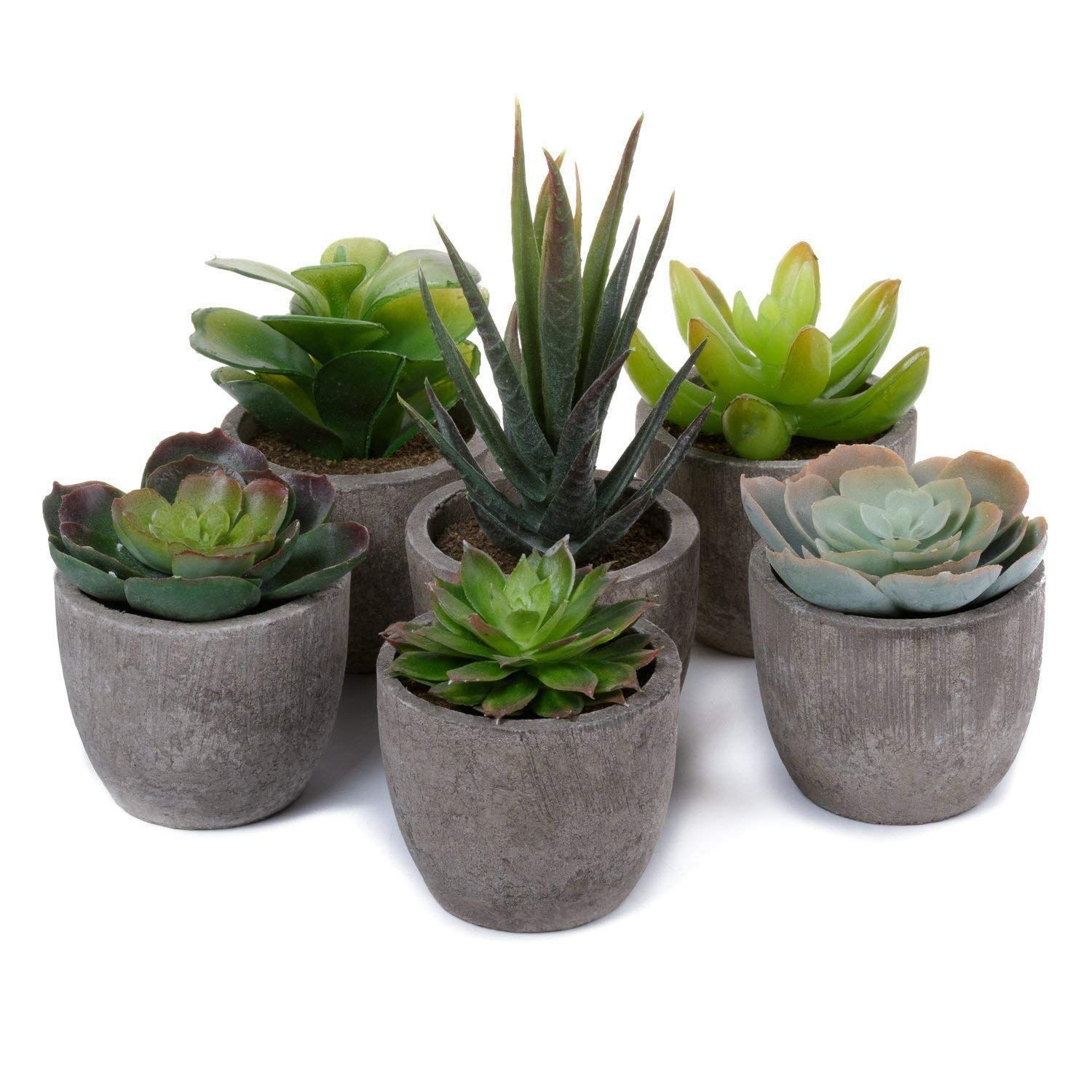 プレゼント お世話不要 ６点入り インテリア 造花 人工多肉植物 人工観葉植物 観葉植物 フェイクグリーン T 4 U