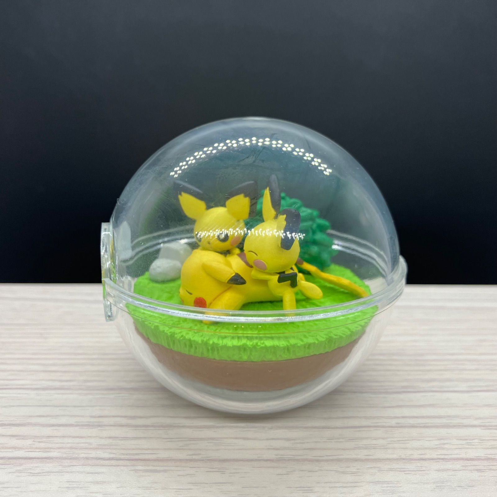 テラリウムコレクション ピチュー ピカチュウ 【A-5 ポケモン