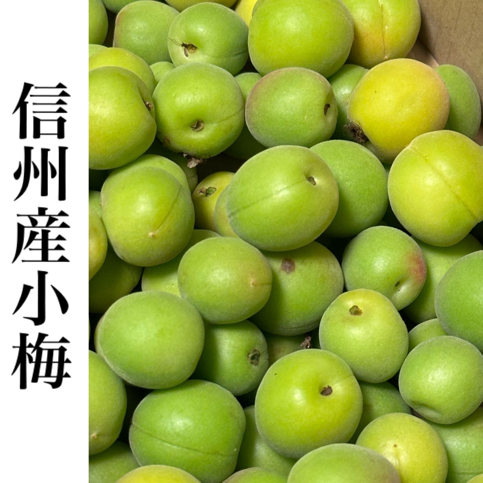 青梅　ちょっと訳あり　2L3L 無農薬 5キロ 青梅 南高梅 無農薬 2Kgのお取り寄せ販売（通販）送料無料でお届け