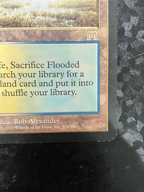 ◎MTG 316/350 Flooded Strand/溢れかえる岸辺 英語 - メルカリ