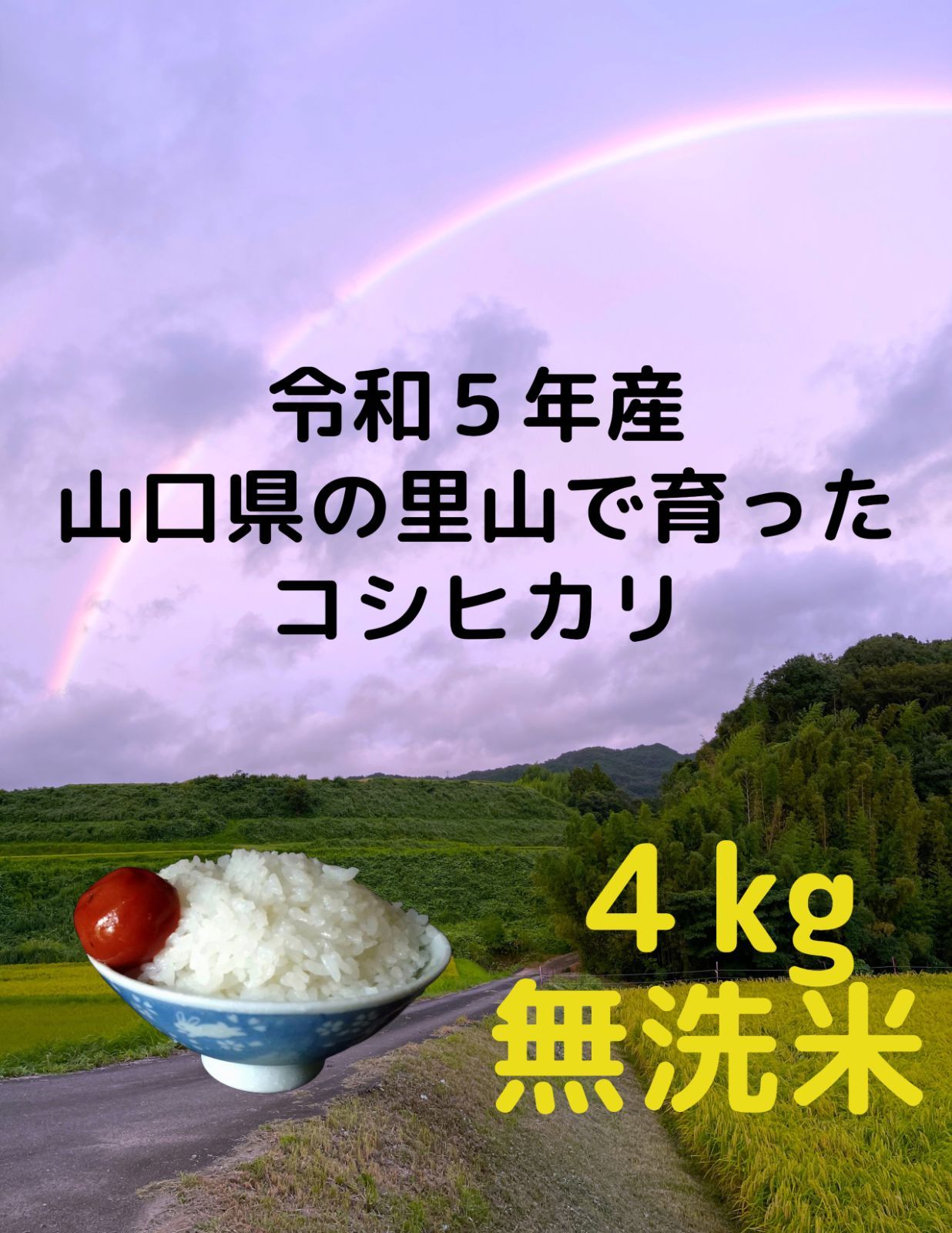 焼き芋屋謹製◎紅はるか 訳あり 2kg さつまいも シルクスイート好きに