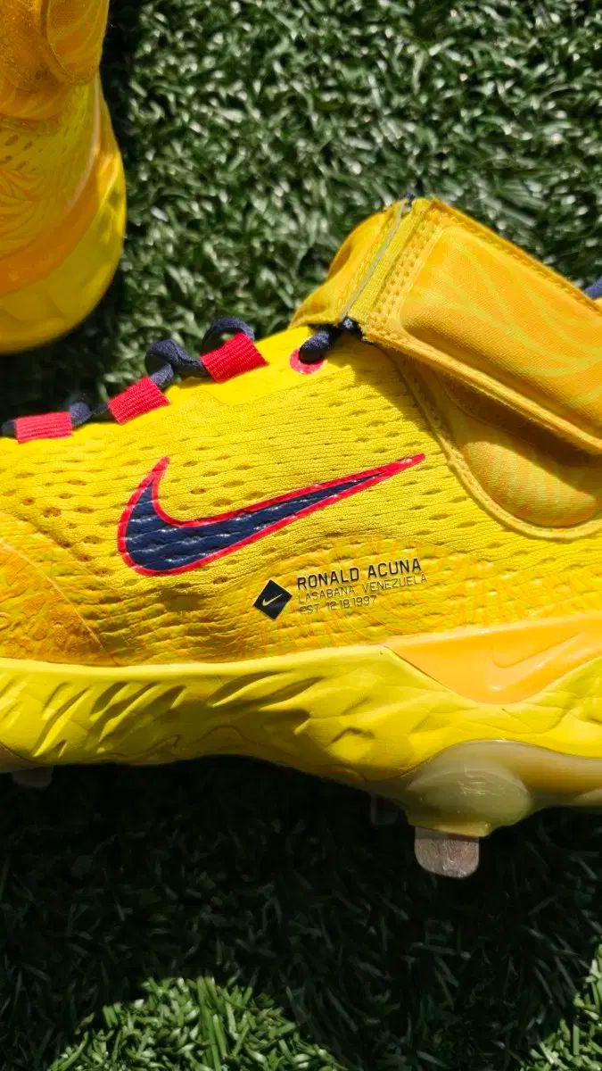  モデル NIKE アルファハラチ4 アクーニャ ジュニア 野球シューズ スパイク セット その他 シューズ