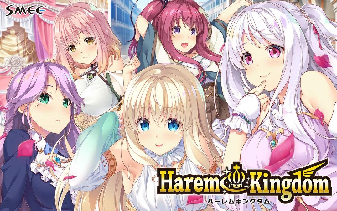 ディヴァインクロス　ハーレムキングダム【新品】【未開封】【在庫ラスト】 HaremKingdom-ハーレムキングダム- 初回豪華版 - メルカリ