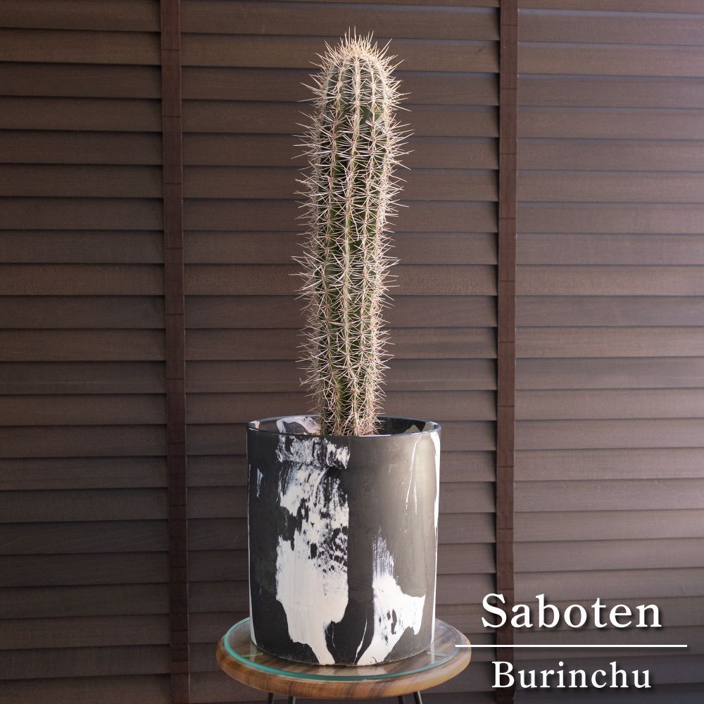 茨城#床職人#人工芝#instagram#Green Room#Dumper#SURF&SNOW