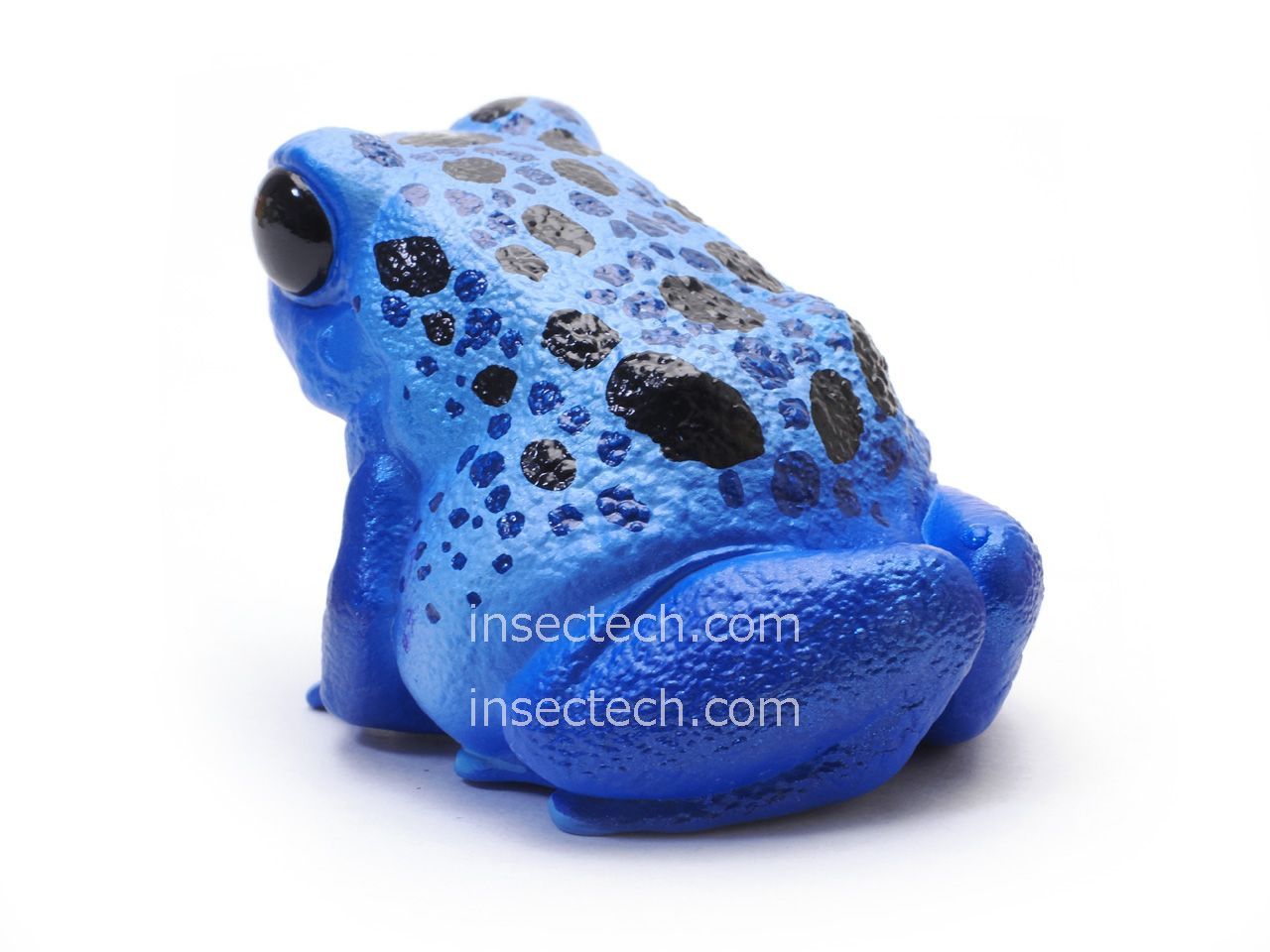 【動物の惑星】スーパーレア★ヤドク+ガメ+ヘビ★廃盤品&限定品!!フィギュア 動物の惑星】スーパーレア☆ヤドク+ガメ+ヘビ☆廃盤品&限定品