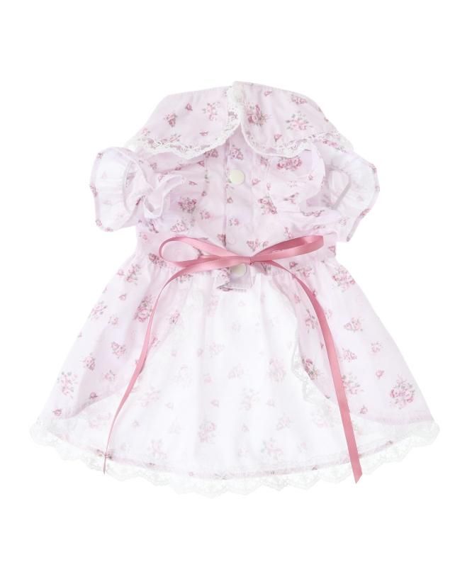 【中古】 セミリタイアのすすめ シドニーの１２か月/文香社/永淵閑 中古】 セミリタイアのすすめ シドニーの12か月 / 永淵 閑