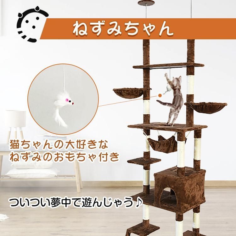 猫用品