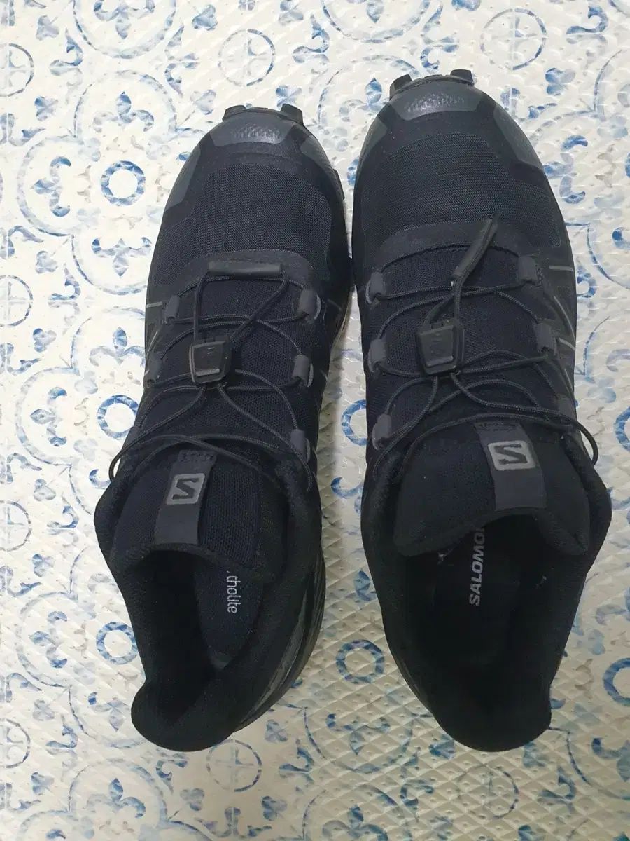 紗綾/愛体～LOVE BODY 10years～直筆サイン入り 2025年最新】紗綾