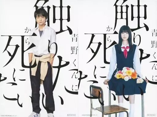 2025年最新】高橋ひかる dvdの人気アイテム - メルカリ