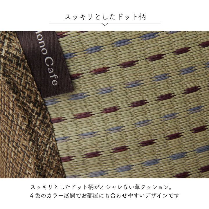 クッションくつろぎ い草 抗菌防臭 シンプル 小林製薬コバガード クリア ゆったりクッション 2個セット