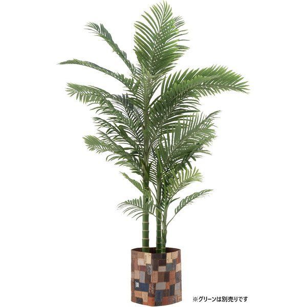 新品　19 ステラ SW14000PG 純正スプール シマノスピニングリール用 Amazon | 【シマノ純正】19-22ステラSW用 純正スペアスプール 10000PG