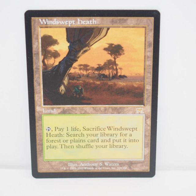 MAGIC The Gathering MTG 吹きさらしの荒野/Windswept Heath