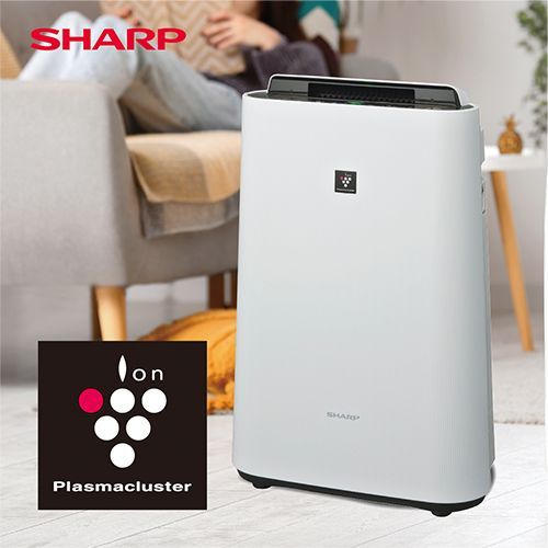 日焼けあり・本体のみ シャープ プラズマクラスター7000 加湿空気清浄