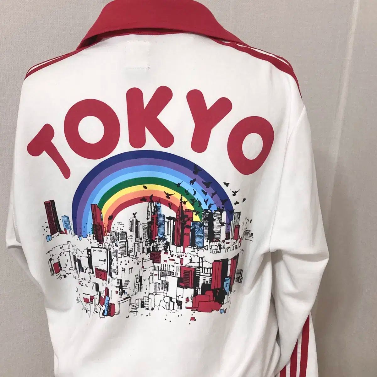 南房総で明治から昭和初期に使用されていた農具 : 棃(すき) 南房総で