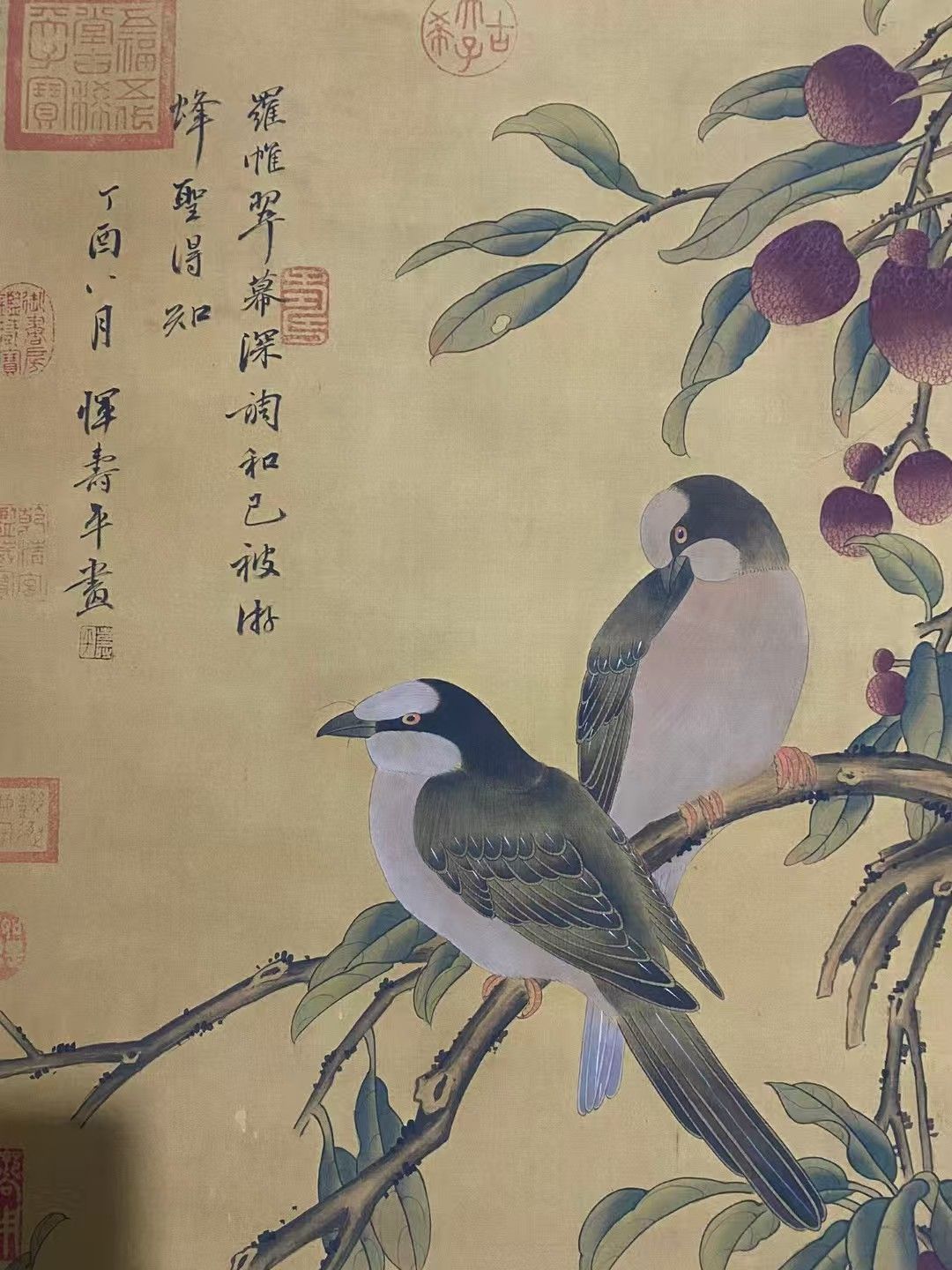 ♦中国 梅花尾長鳥 書画骨董 水墨画 絵画 骨董品 コレクション アンティーク 中国古美術.精品三尺中堂画.恽寿平花鳥画.手描き作品.実物撮影