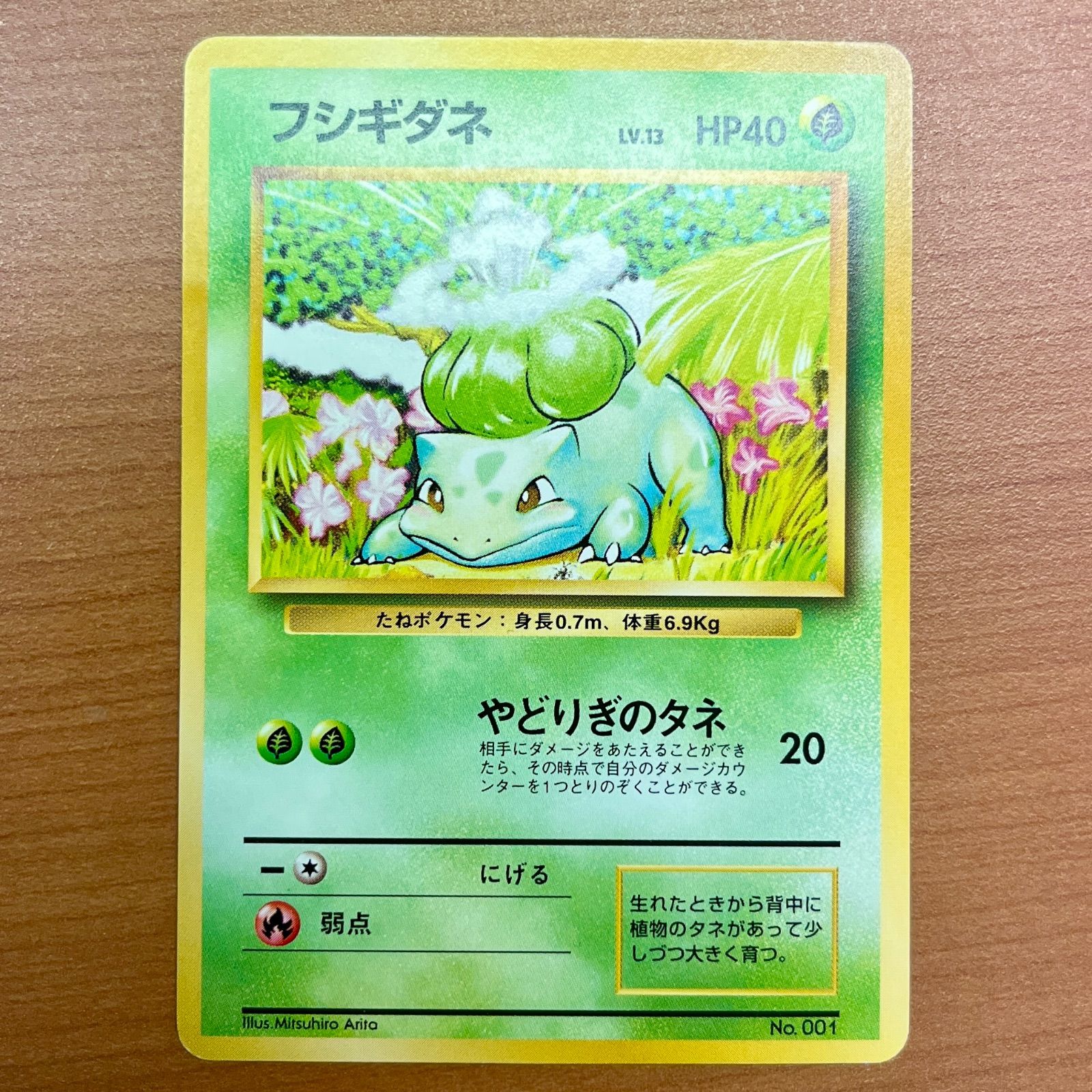 人気 マークなし 旧裏 初版 フシギダネ 状態B LV.13 ☆ポケカ No.001 ポケモンカードゲーム