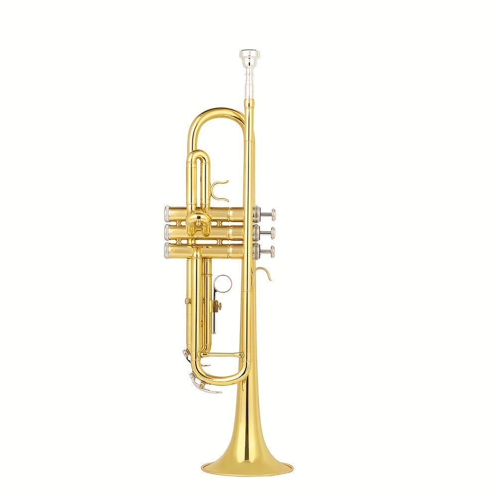 職人技が音楽に輝く色彩を与える