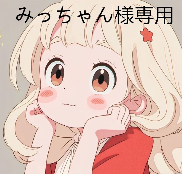 みっちゃん様専用 みっちゃん様 専用