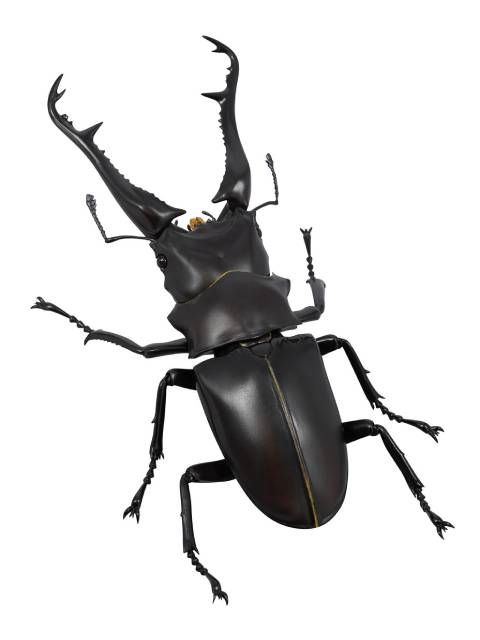 リボジオ　ギラファクワガタ 長大な大顎のクワガタ最大種！ 「リボジオ ギラファ