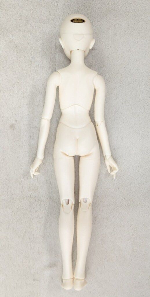 SDGr女の子 美しき宴の響き