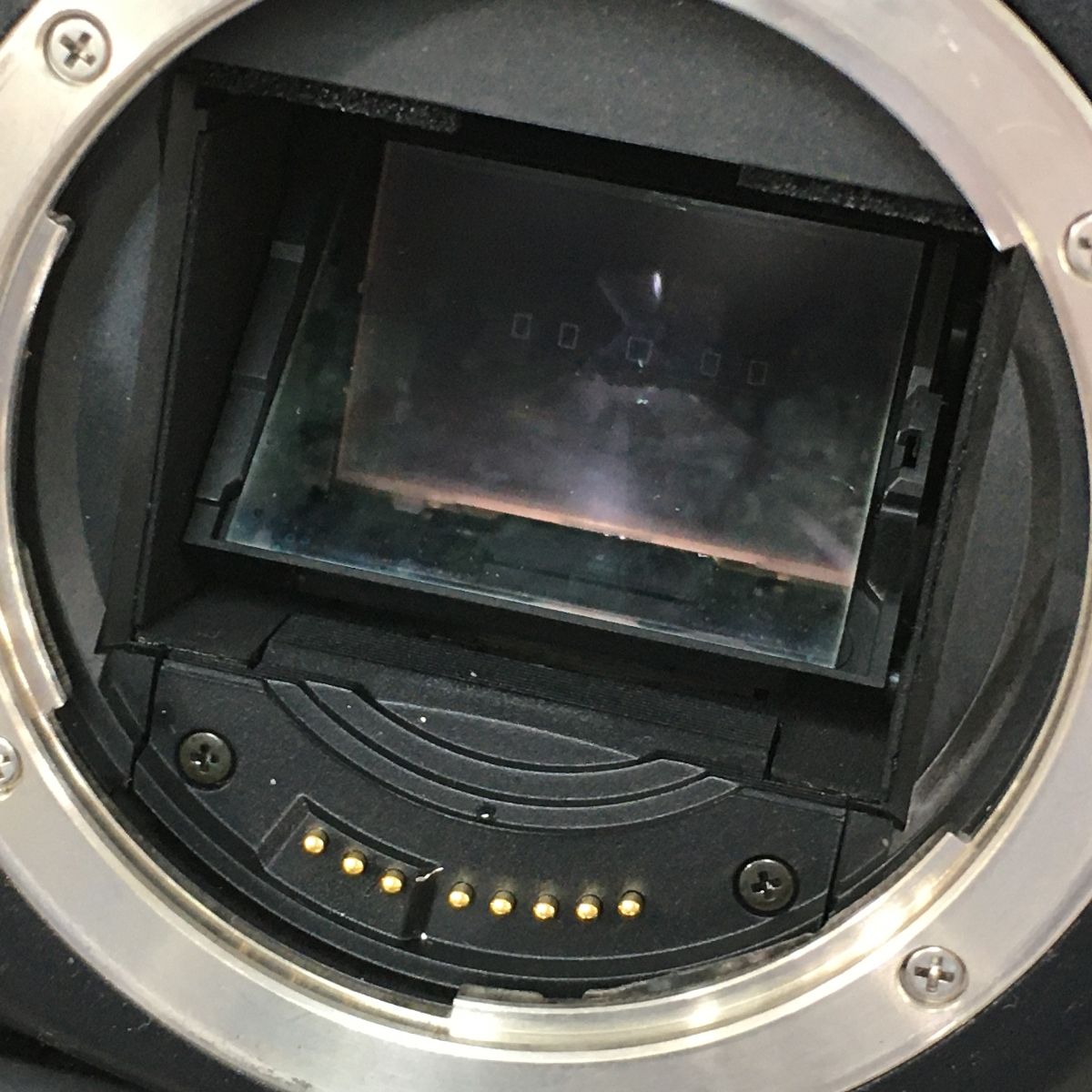 7 一眼レフカメラ