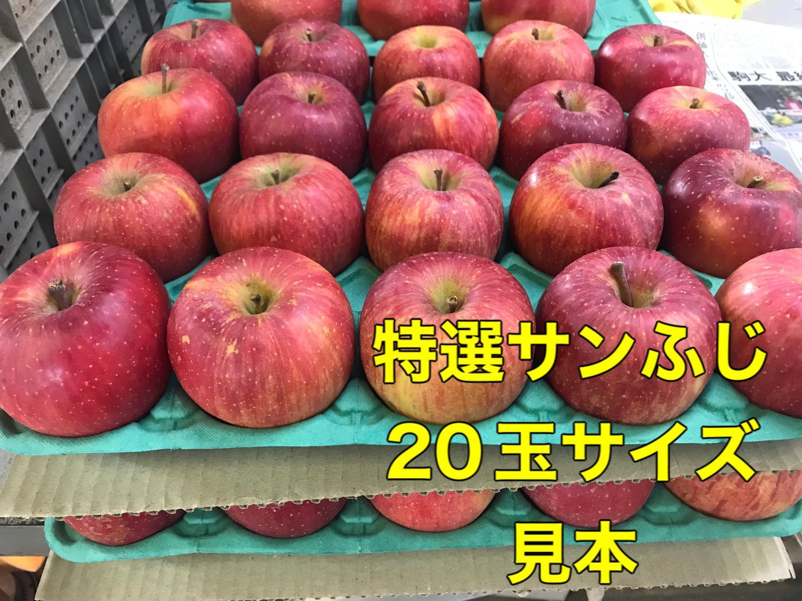 など③ 特選サンふじ L 10キロ 長野県産 減農薬 化学肥料不使用