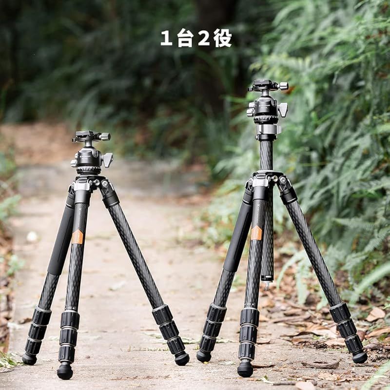 耐荷重25kg