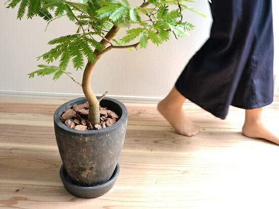 ラウンド 陶器鉢