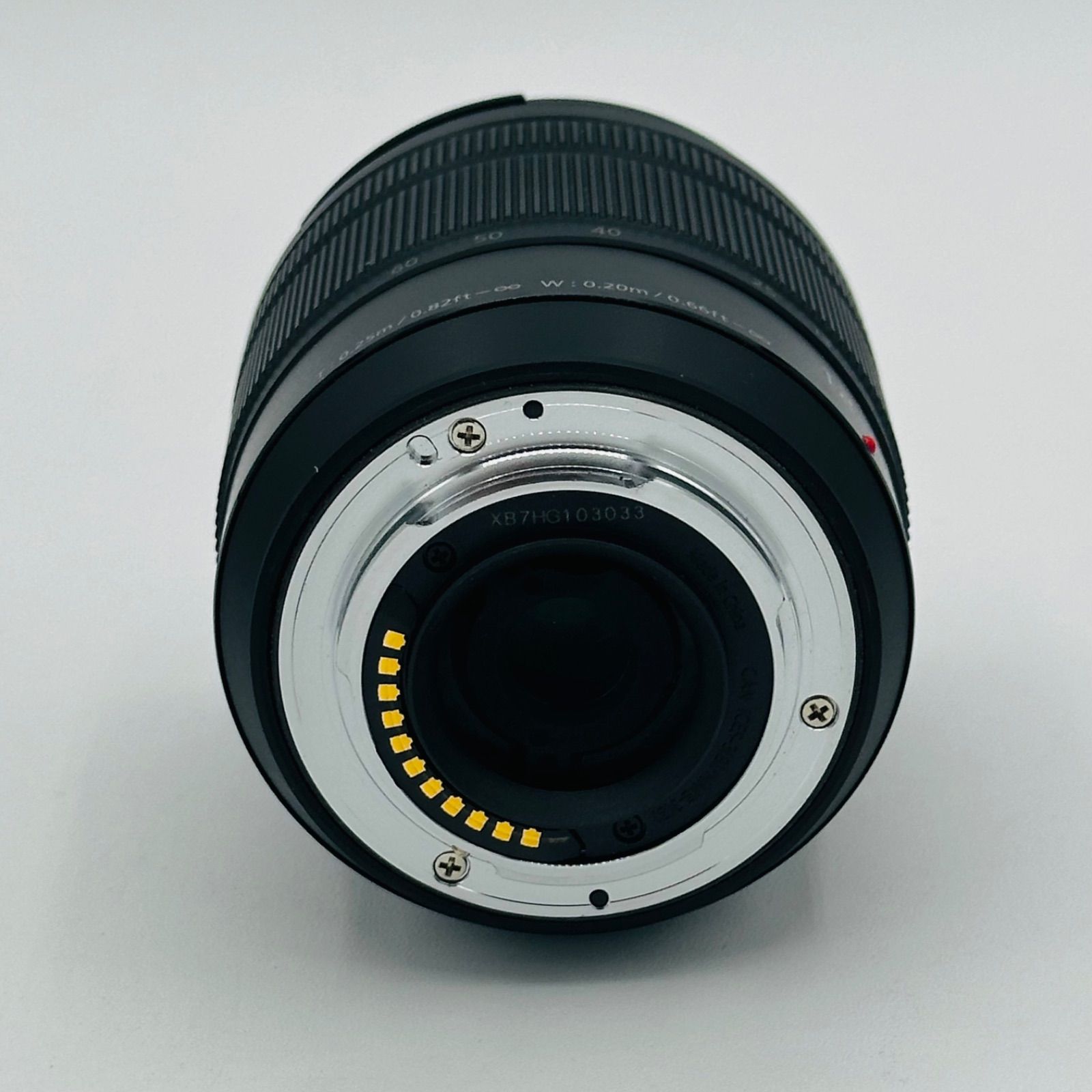 パナソニック 標準ズームレンズ マイクロフォーサーズ用 ルミックス G