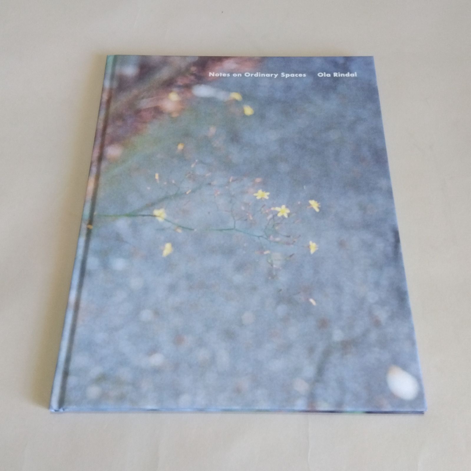 Ola Rindal: Notes on Ordinary Spaces - メルカリ