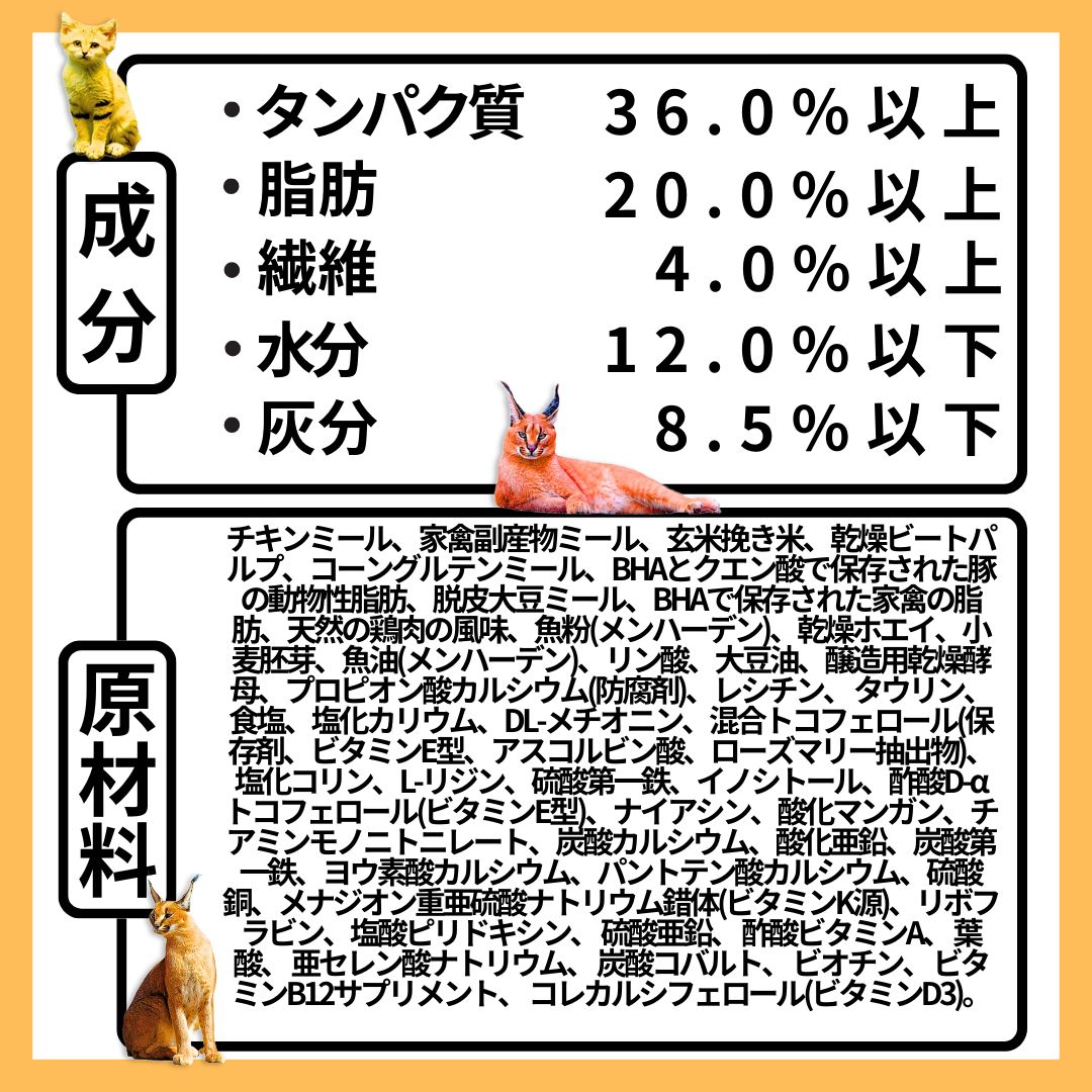 11.3kg