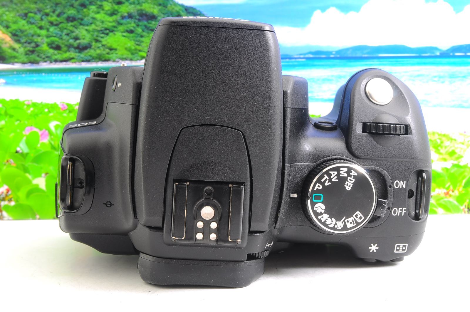 キヤノン ダブルレンズキット Canon EOS Kiss デジタルN #⑪ 楽天市場】【中古】キヤノン Canon EOS Kiss Digital N デジタル