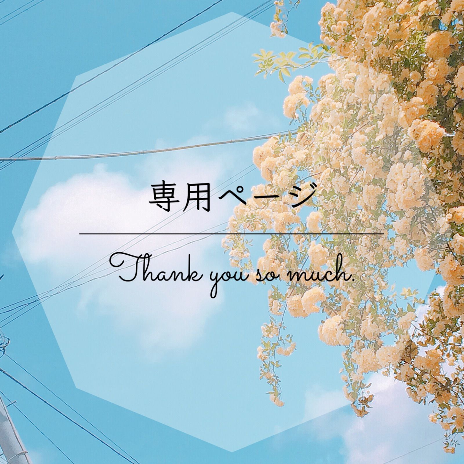 永海様★専用ページ 専用ページ - メルカリ