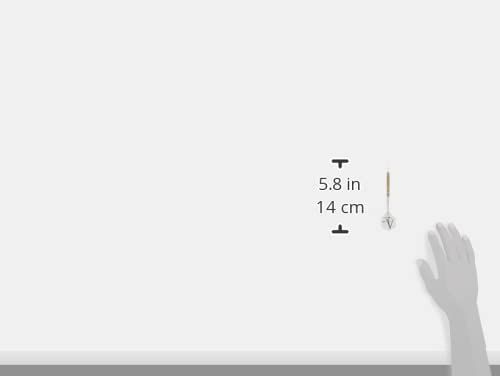 エディ ブラックライン