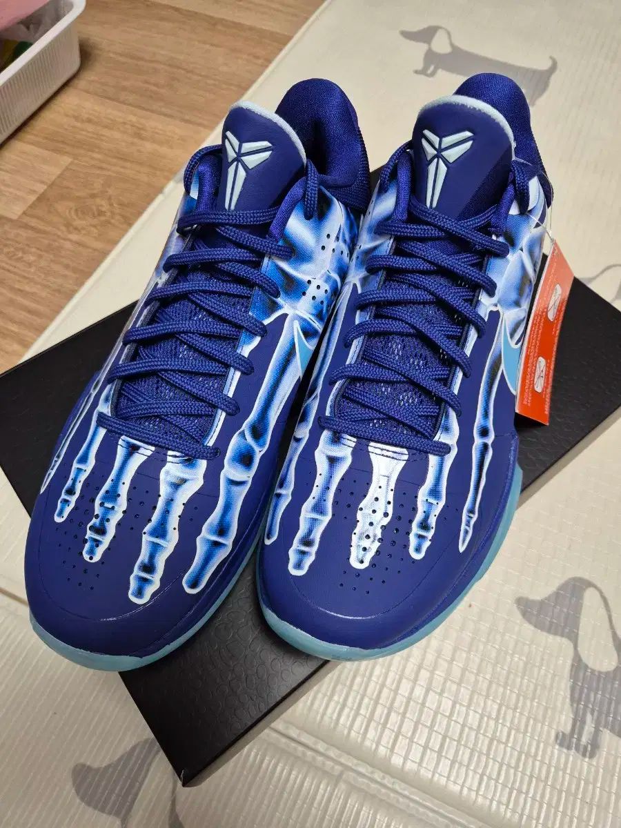 ナイキ コービー5 プロトロ ディープ ロイヤル ブルー 265