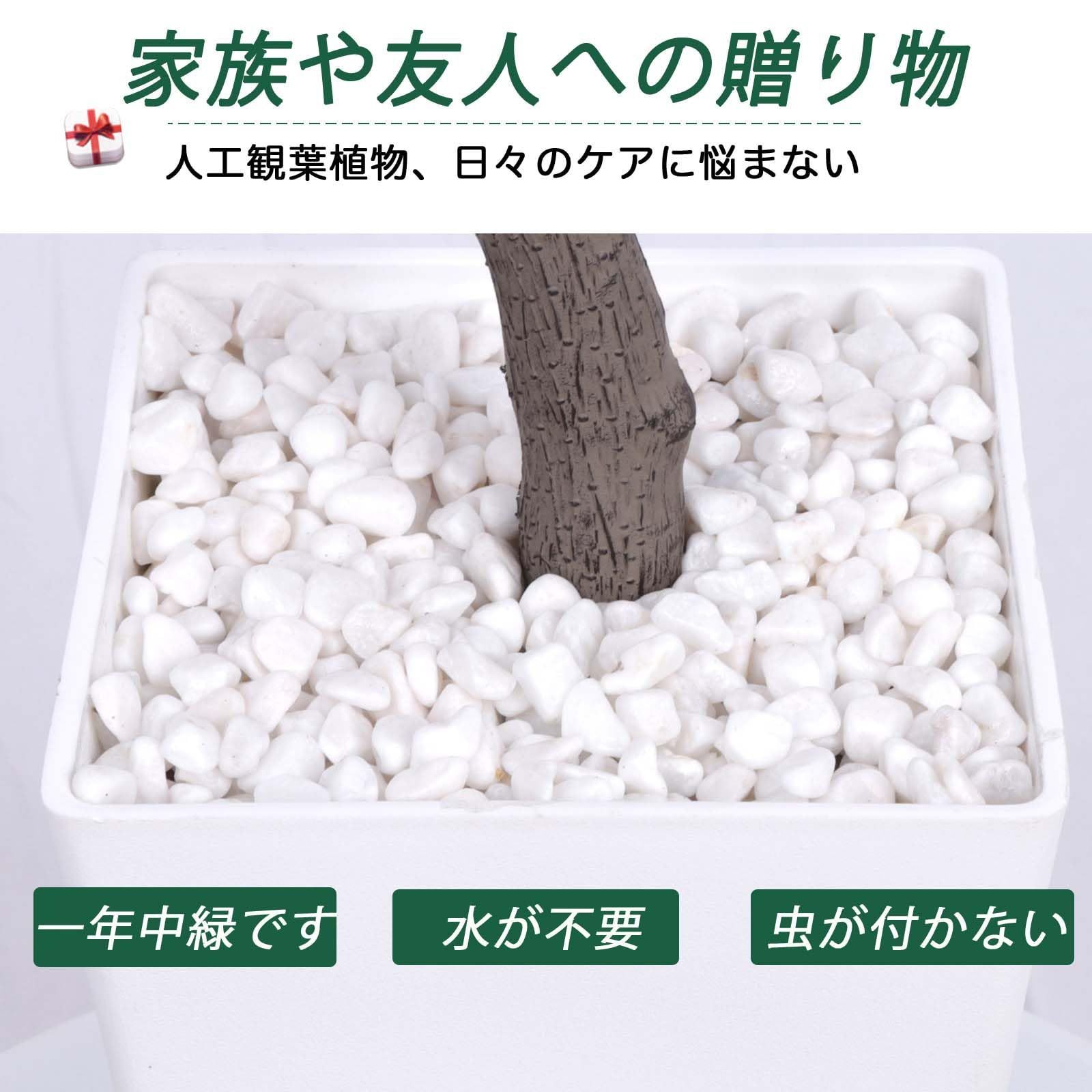 商品 フェイクグリーン