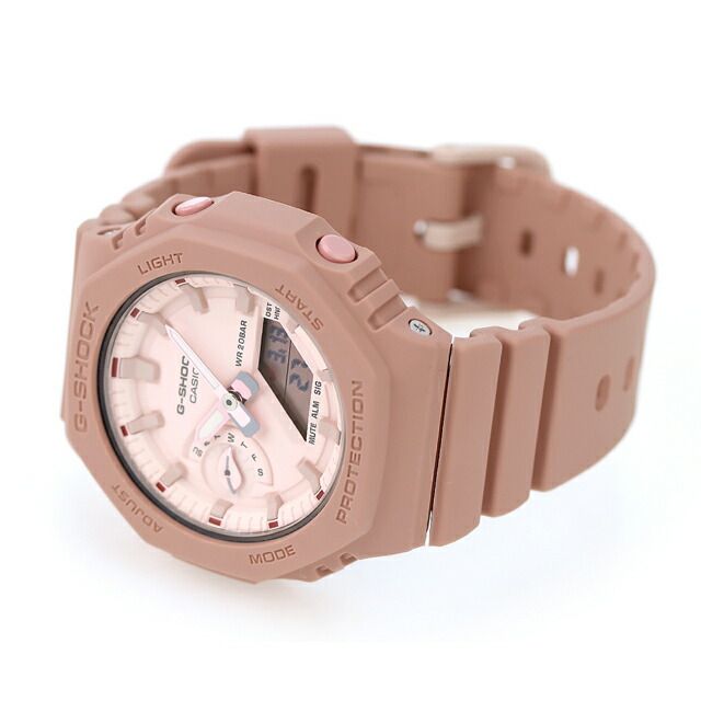 引取限定】タスマニア産(タグ付き) ディクソニア アンタルクティカ 1 引取限定】タスマニア産(タグ付き) ディクソニア アンタルクティカ 1