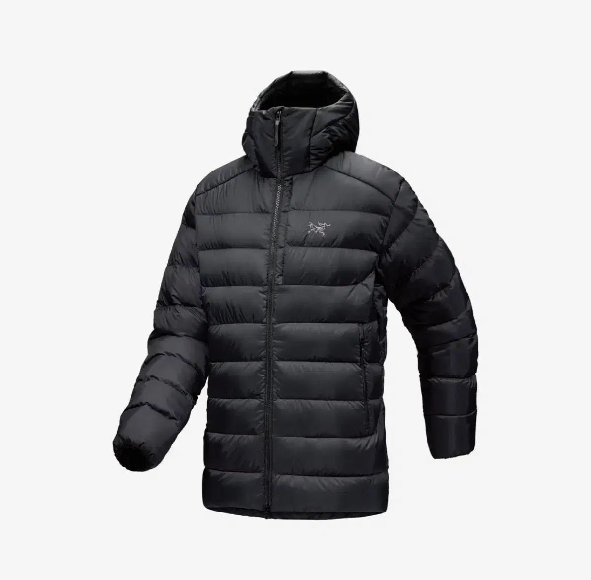 Arc'teryxアークテリクスRalle Jacketレイルジャケット アークテリクス