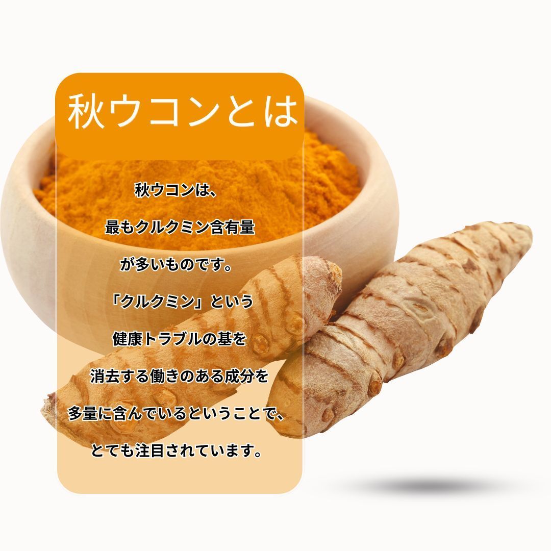 濃縮ウコンパワー 270粒