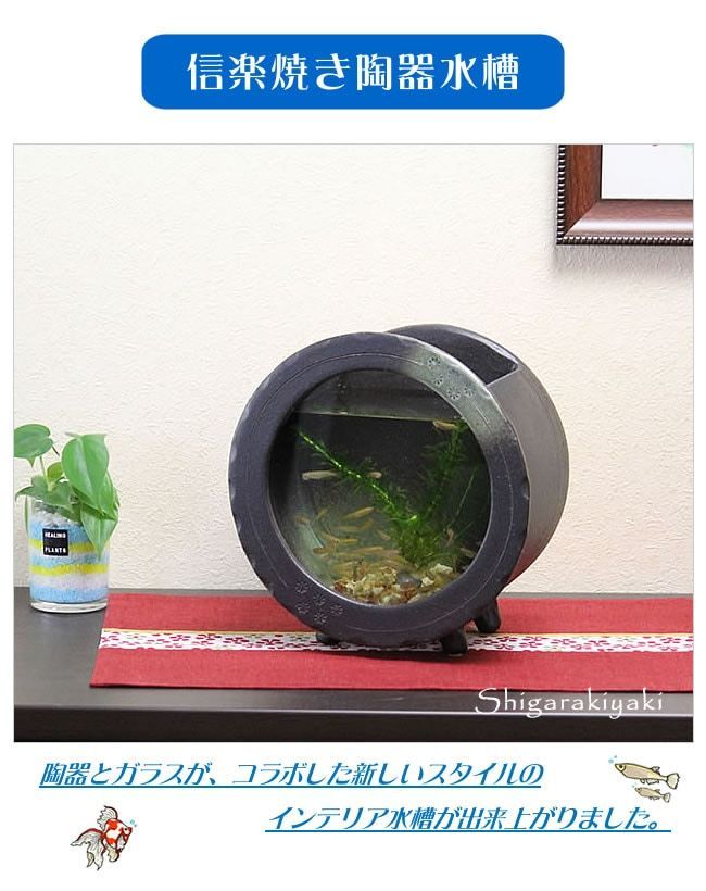 信楽焼 2色から選べる 金魚鉢 メダカ鉢 アクアリウム ガラス