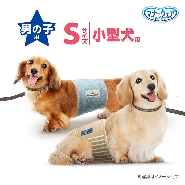 男の子用 Ｓモカストライプ