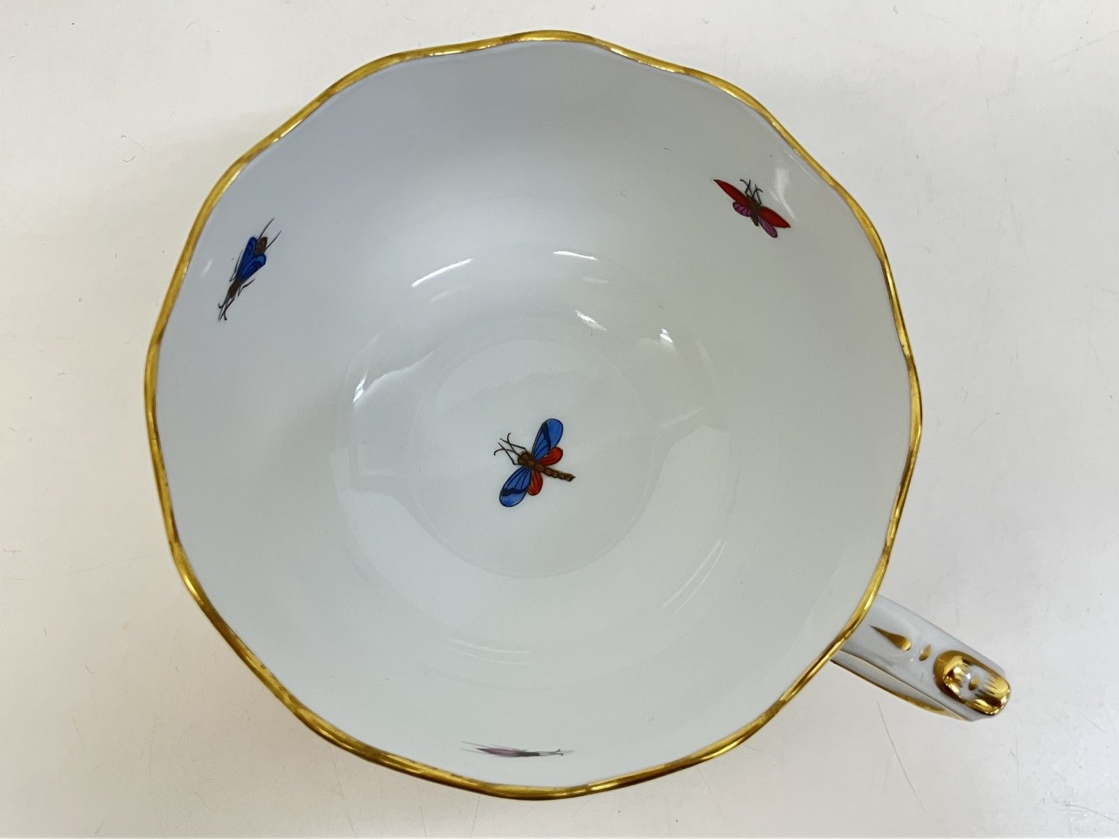 ロスチャイルドバード 兼用