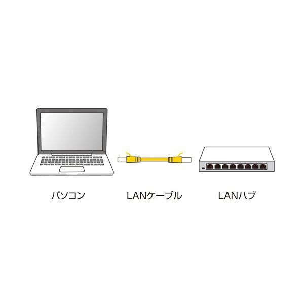 細LANケーブル