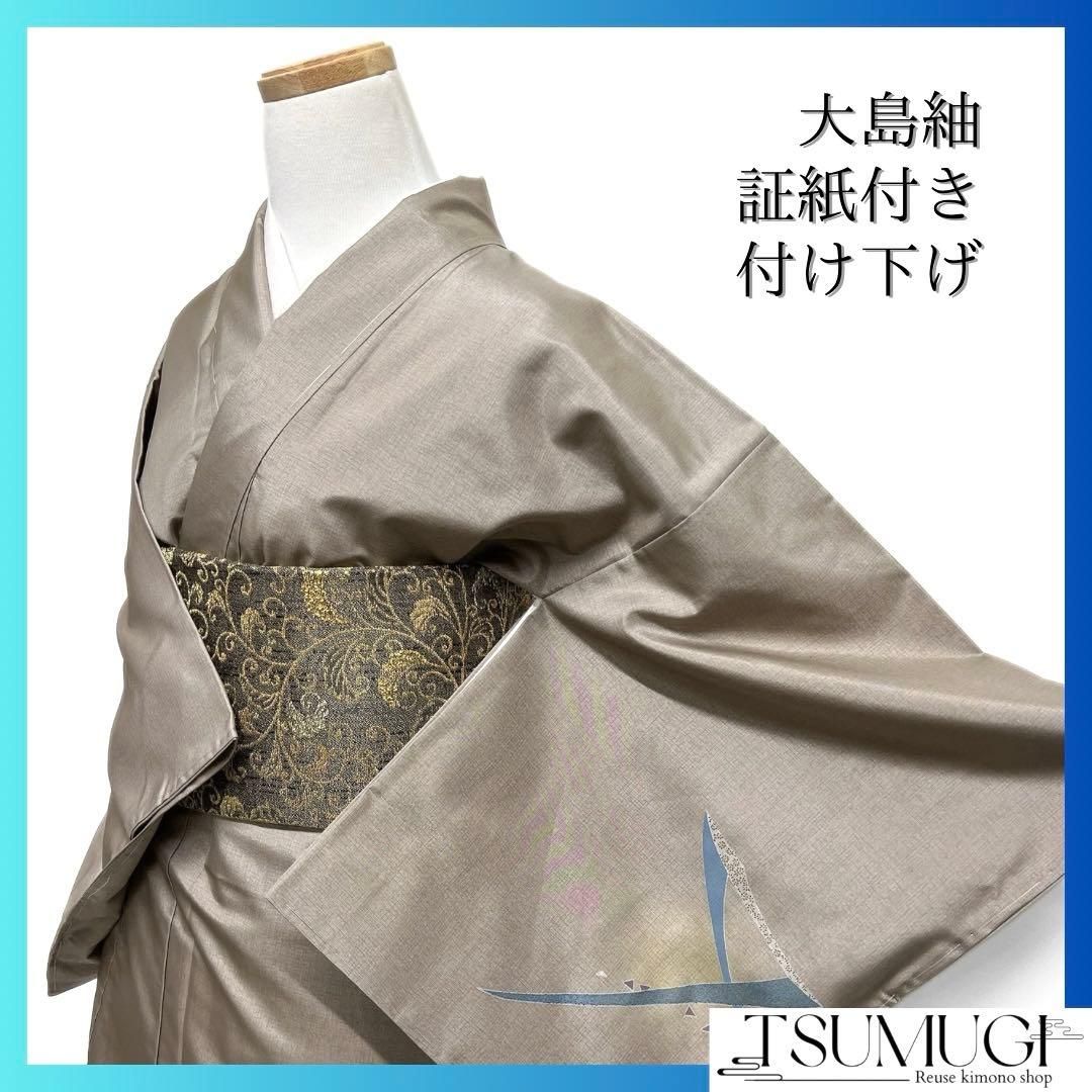 姫雷帝　Wild Heaven 黒土3.5寸　鉢ごと発送 姫雷帝 Wild Heaven 黒土3.5寸 鉢ごと発送