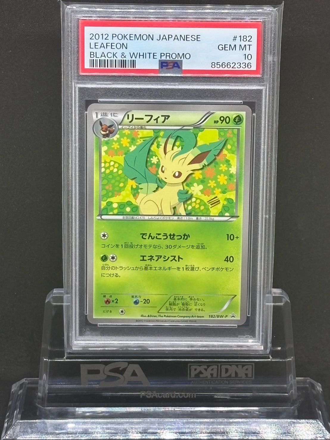 PSA10 リーフィア BW イーブイコレクション プロモ 182 2012 Pokemon Card Japanese Leafeon 182/BW-P eevee collection