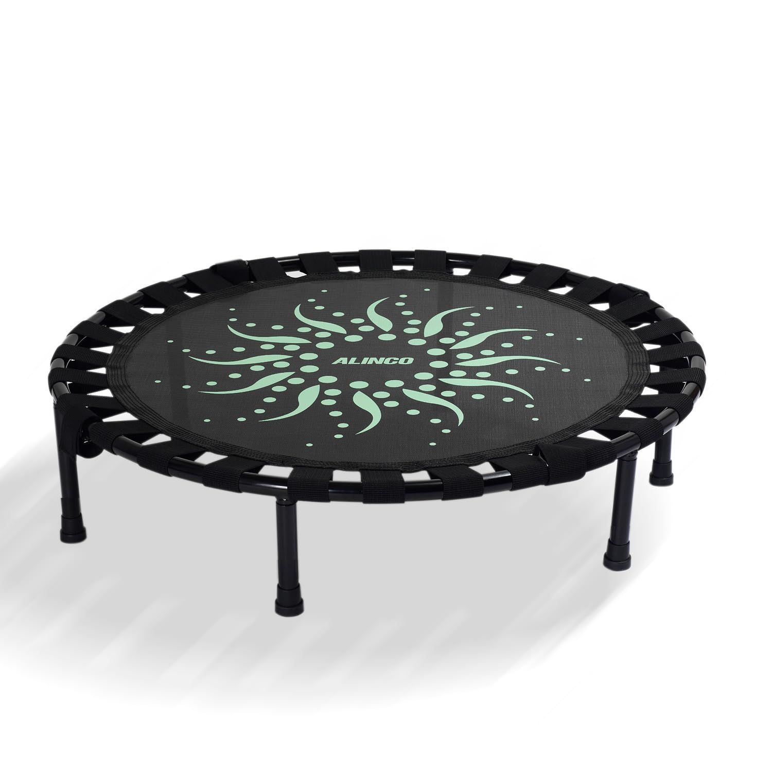 日本ソフケン パーフェクトエクサ バランスクッション トランポリン